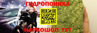 прущие грибы Ачхой-Мартан
