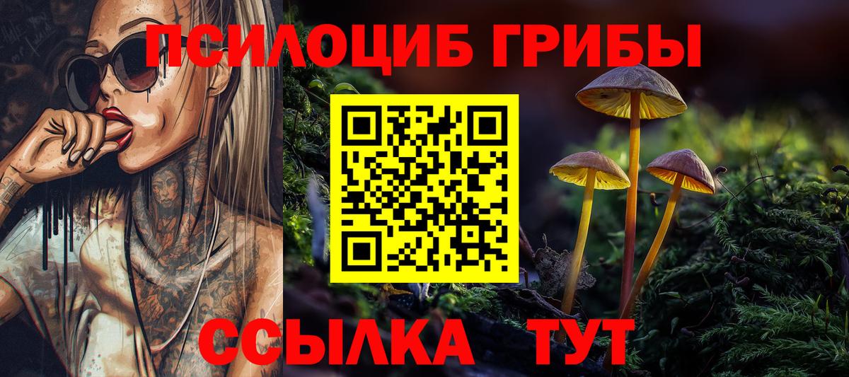 Псилоцибиновые грибы прущие грибы  Вход с VPN  Коммунар 